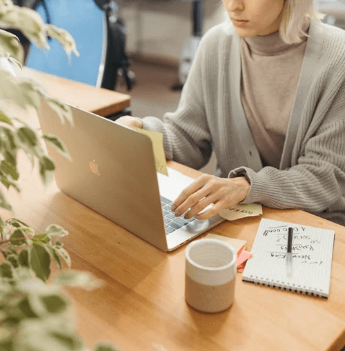 Raiz Finspirex ilustração da equipa de apoio